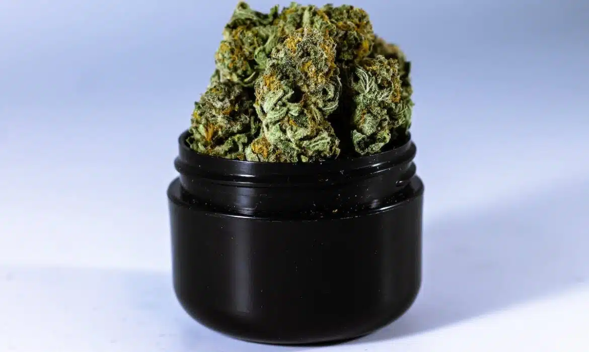 Les étapes à suivre pour créer sa boutique de CBD