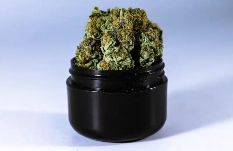 Les étapes à suivre pour créer sa boutique de CBD