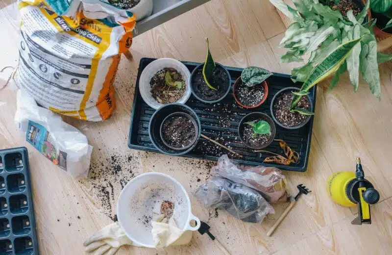 Les avantages d’acheter des liquides de vaporisateur chez un grossiste