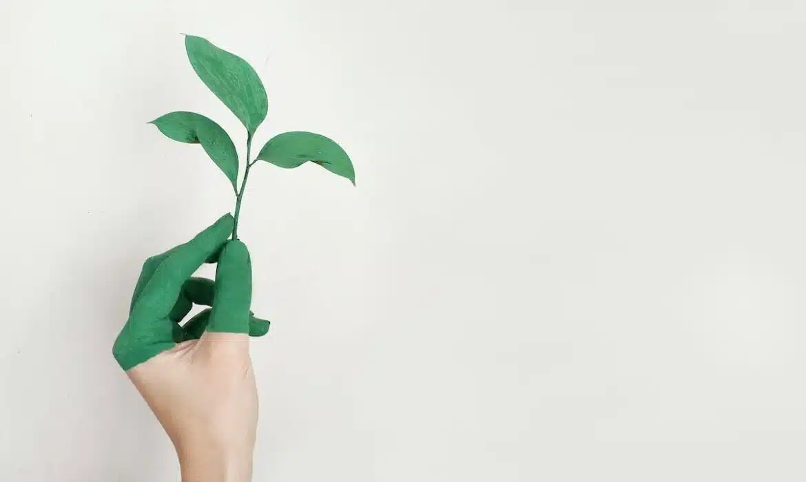 Les dernières avancées en matière de développement durable dans les entreprises