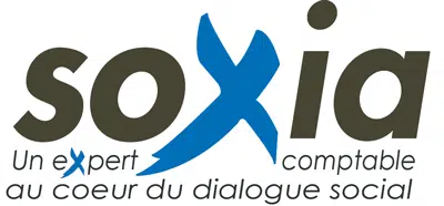 Quel est le budget du CSE ?